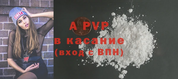 стаф Арсеньев
