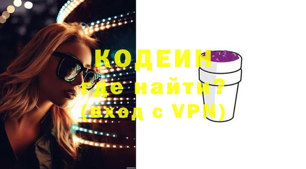 хмурый Алзамай