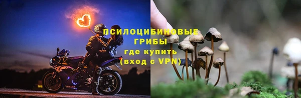эйфоретик Армянск