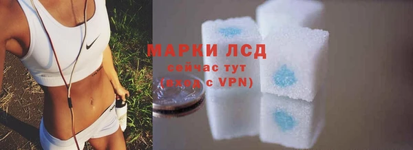 стаф Арсеньев
