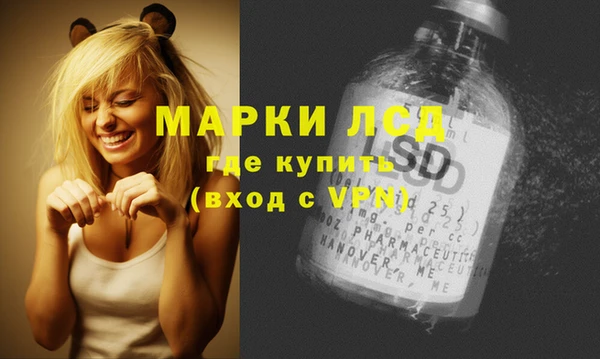 хмурый Алзамай