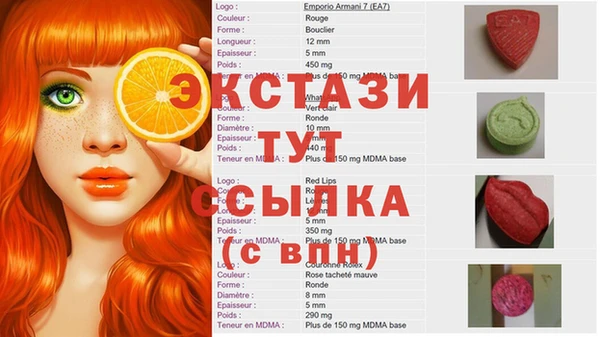 стаф Арсеньев