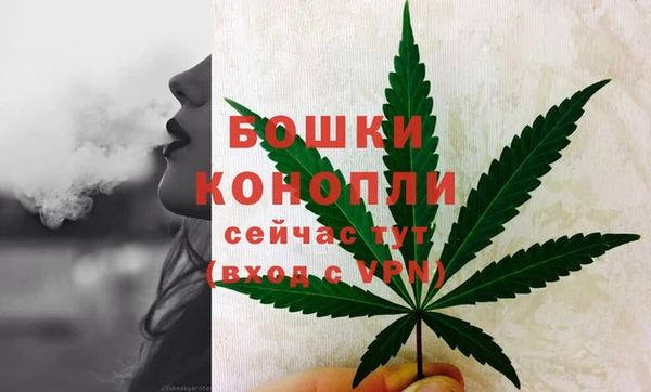 прущие грибы Аркадак